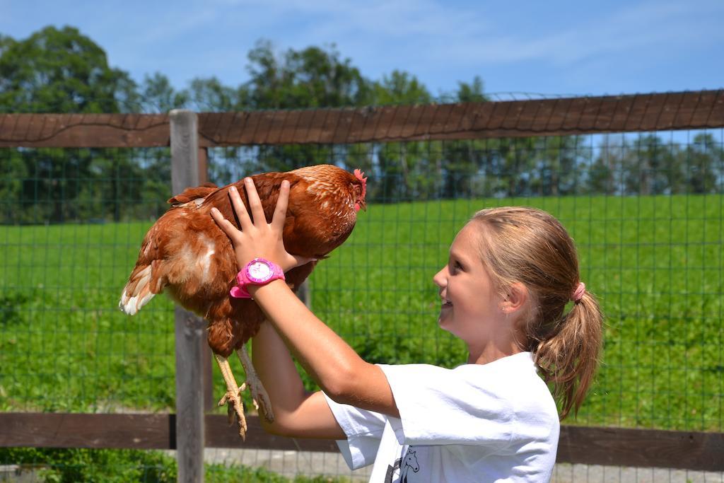 Feriendorf Ponyhof Fusch an der Grossglocknerstrasse エクステリア 写真