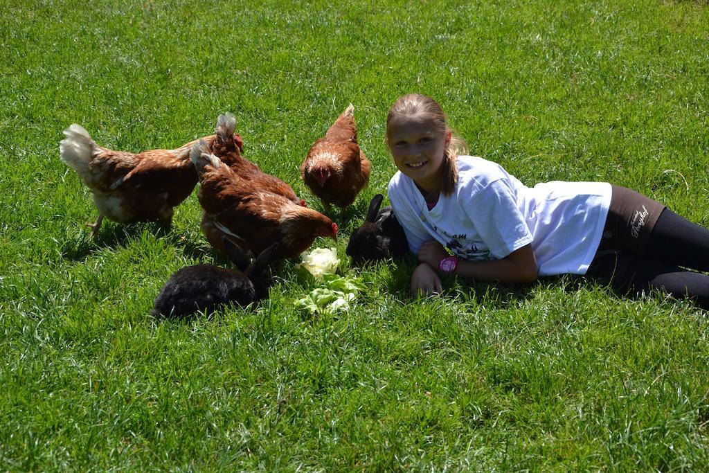 ホテル Feriendorf Ponyhof Fusch an der Grossglocknerstrasse エクステリア 写真