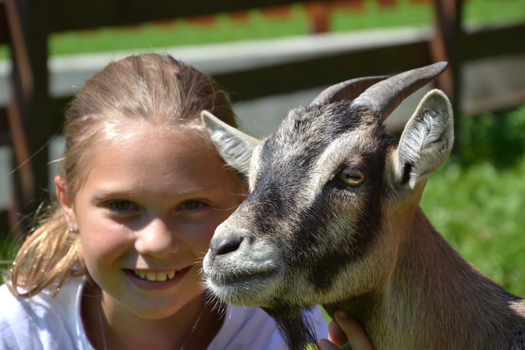 Feriendorf Ponyhof Fusch an der Grossglocknerstrasse エクステリア 写真