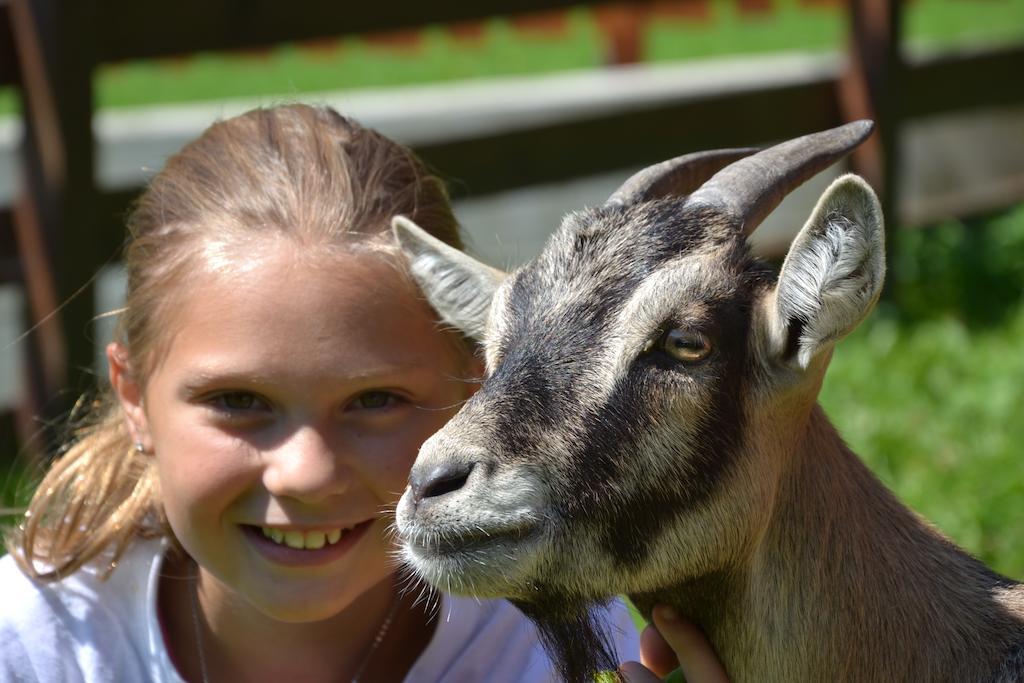 ホテル Feriendorf Ponyhof Fusch an der Grossglocknerstrasse エクステリア 写真