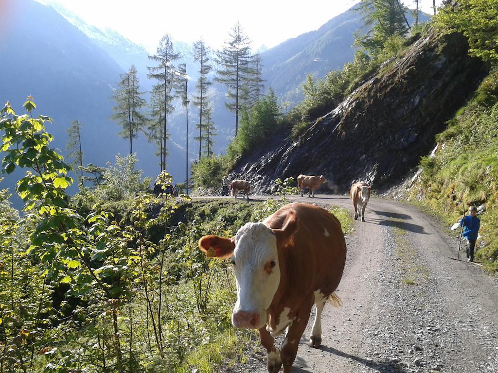 Feriendorf Ponyhof Fusch an der Grossglocknerstrasse エクステリア 写真