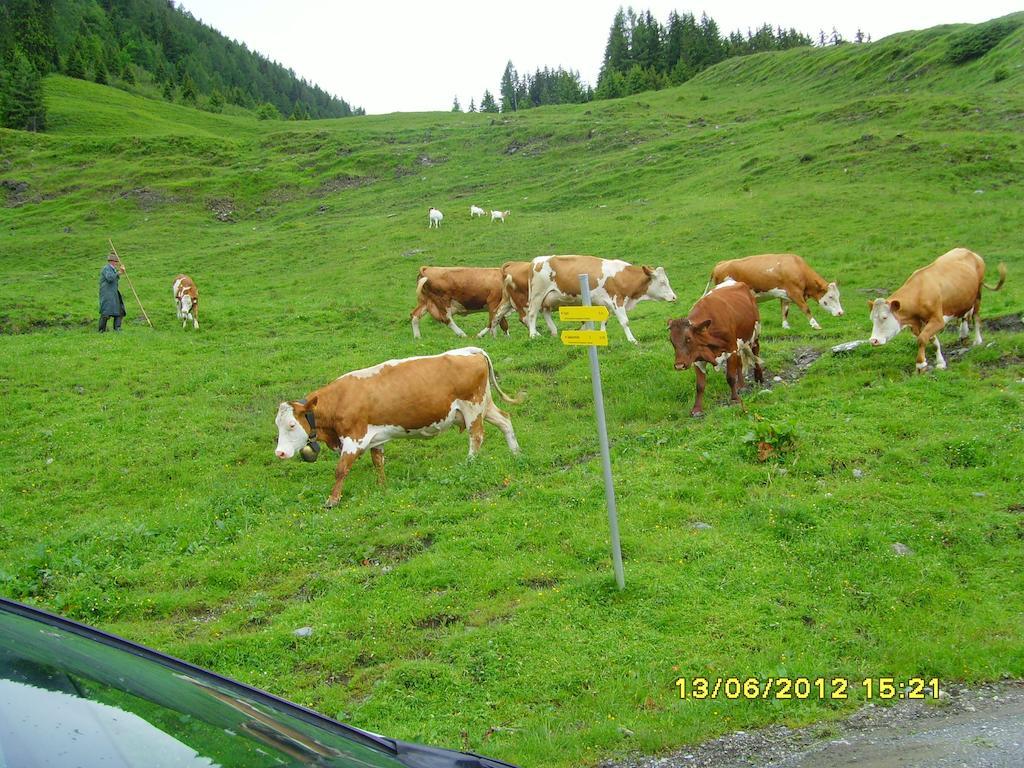 ホテル Feriendorf Ponyhof Fusch an der Grossglocknerstrasse エクステリア 写真